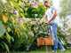 Bosch EasyGrassCut 23 - Coupe-bordures &Eacute;lectrique - 280 W