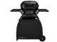 Barbecue &agrave; gaz Outdoorchef Compactchef 480 G - Grille &Oslash; 48 cm en porcelaine &eacute;maill&eacute;e