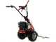 Eurosystems Minieffe M150 RM - Motofaucheuse multifonction - B&amp;S 625 EXi 