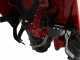 Motoculteur &agrave; roues tract&eacute; Eurosystems RTT2 SR - Honda GP160
