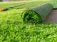 Balayeuse &eacute;lectrique Blackstone TS-400 - Balayeuse pour pelouses synth&eacute;tiques