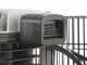 BlackStone B-LBC 100-30 - Compresseur d'air &eacute;lectrique &agrave; courroie - Moteur 3 CV - 100 L