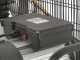 BlackStone B-LBC 100-20 - Compresseur d'air &eacute;lectrique &agrave; courroie - Moteur 2 CV - 100 L