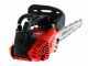 Tron&ccedil;onneuse &agrave; moteur thermique l&eacute;g&egrave;re de taille ZM2526C avec barre Carving de 25 cm