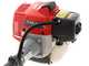 Peigne vibreur Alice Campagnola &agrave; moteur thermique 2T Kawasaki - perche t&eacute;lescopique 150/220 cm