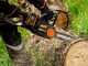 WORX NITRO WG385E.9 - Tron&ccedil;onneuse &agrave; batterie  - 40 V - SANS BATTERIE NI CHARGEUR