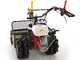 Benassi T900P - Tondeuse d&eacute;broussailleuse professionnelle &agrave; couteaux - Honda GX390