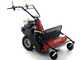 Benassi T750S - Tondeuse d&eacute;broussailleuse professionnelle &agrave; couteaux - Honda GX270