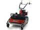Benassi T750S - Tondeuse d&eacute;broussailleuse professionnelle &agrave; couteaux - Honda GX270