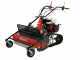 Benassi T900HD - Tondeuse d&eacute;broussailleuse professionnelle &agrave; couteaux &agrave; chenilles - Honda GX390