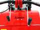 Diesse Minitriss - Motoculteur diesel - Vulcan V245 - 4,2 Cv