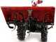 Diesse Minitriss - Motoculteur diesel - Vulcan V245 - 4,2 Cv