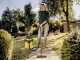 Karcher WD 5 P V-25/6/22 - Aspirateur multifonction - Souffleur - Bidon 25 L - 1100 W