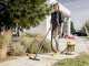 Karcher WD 3 S V-17/4/20 - Aspirateur multifonction - Acier INOX - 17 L
