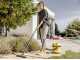 Karcher WD 2 PLUS V-12/4/18/C - Aspirateur multifonction - Bidon 12 L