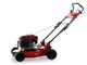 Marina Systems GX BIOMULCH 51SL  - Tondeuse &agrave; gazon mulching  - Moteur Loncin 65FC