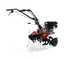 Benassi BL106C - Motobineuse &agrave; essence 7 CV - Moteur Hwasdan H170F