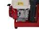 Ceccato Tritone Maxi - Broyeur de branches thermique - Moteur Honda GX 390