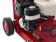 Ceccato Tritone Maxi - Broyeur de branches thermique - Moteur Honda GX 390