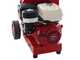 Ceccato Tritone Maxi - Broyeur de branches thermique - Moteur Honda GX 390