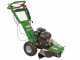 GreenBay Deep L-200 - Rogneuse de souche - Moteur Loncin 196 cm3 - Roue de coupe avec 8 lames en carbure de tungst&egrave;ne