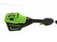 Greenworks GD60PS25 - &Eacute;lagueuse &agrave; batterie sur perche  de rallonge 60V - SANS BATTERIE NI CHARGEUR