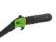 Perche &eacute;lagueuse &agrave; batterie Greenworks GD60PS25 60V - Batterie 2 Ah