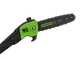 Perche &eacute;lagueuse &agrave; batterie Greenworks GD60PS25 60V - Batterie 2 Ah