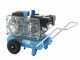 KIT Motocompresseur Campagnola MC 548 7HP + 2 Peignes Vibreurs pneumatiques Tuono Evo