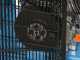 Motocompresseur thermique Campagnola MC 658  moteur essence 7 CV