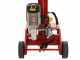 Ceccato BULL SPLE10T - Fendeuse &agrave; bois &eacute;lectrique - Verticale - 400V