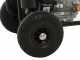 Nettoyeur haute pression thermique AgriEuro Top-Line EWD-K 15/310 - Moteur Loncin G390F