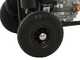 Nettoyeur haute pression thermique AgriEuro Top-Line EWD-K 15/310- Moteur Honda GX 390