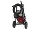 Nettoyeur haute pression thermique AgriEuro Top-Line EWD-K 15/310- Moteur Honda GX 390