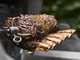 Tourne-broche &eacute;lectrique pour Barbecue Weber Spirit