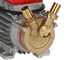 Rover 20 By-pass - Pompe &eacute;lectrique de transfert en bronze - Monophas&eacute; - 230V