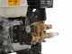 Nettoyeur haute pression thermique AgriEuro Top-Line BXD 12/200 - Moteur Honda GP 200