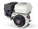 Motopompe de pulv&eacute;risation thermique Comet MTP P40/20 SC 4T - moteur Honda GP 160 - version pour acides et produits chimiques