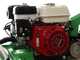 Lampacrescia MGM TTR580/S - Tondeuse d&eacute;broussailleuse &agrave; couteaux - Honda GX200