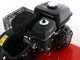 Benassi BL365 C - Motobineuse à essence 7 CV - Moteur Hwasdan H170F