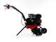 Benassi BL365 C - Motobineuse à essence 7 CV - Moteur Hwasdan H170F