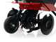 Benassi BL365 C - Motobineuse à essence 7 CV - Moteur Hwasdan H170F