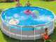 Intex Prisma Frame Clearview 26722NP - &Oslash;427x107 cm - Piscine Ronde
