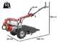 Barbieri RED  - Motoculteur &agrave; essence - Honda GX160 - 4,78 CV