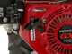 Lampacrescia MGM FC 207 E - Motofaucheuse multifonction - Honda GX160
