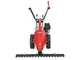 Barbieri C/60 - Motofaucheuse multifonction - Honda GX160