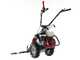 Barbieri C/60 - Motofaucheuse multifonction - Honda GX160