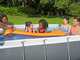 Bestway Power Steel 56629 - 282 x 196 x 84 cm - Piscine hors-sol + pompe de filtration 16 W