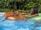 Bestway Power Steel 56671 - 488 x 244 x 122 cm - Schwimmbecken hors-Boden