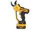 DeWalt DCMPP568P1-QW - S&eacute;cateur &eacute;lectrique de taille - 18V 5.0Ah